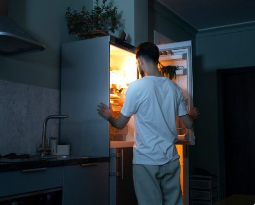 refrigerator light comes on but nothing else work
