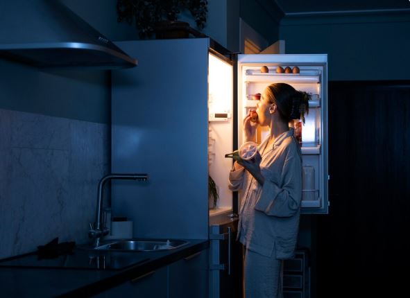 buzzing fridge noise problem