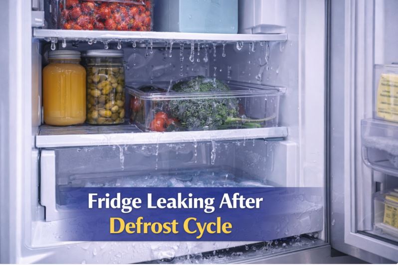 refrigerator leaks after the defrost cycle ends and how to troubleshoot it